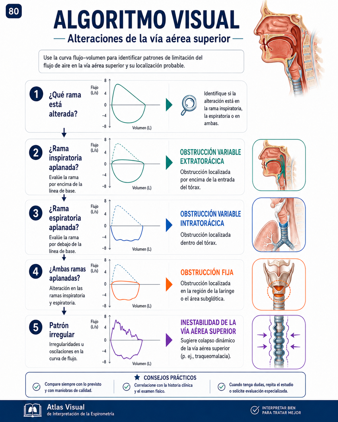 Página visual de estudio e interpretación de la espirometría